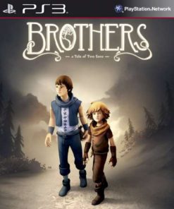 Brothers a tale of two sons Ps3