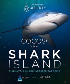 Coco Shark Island PS4 Experiencia VR